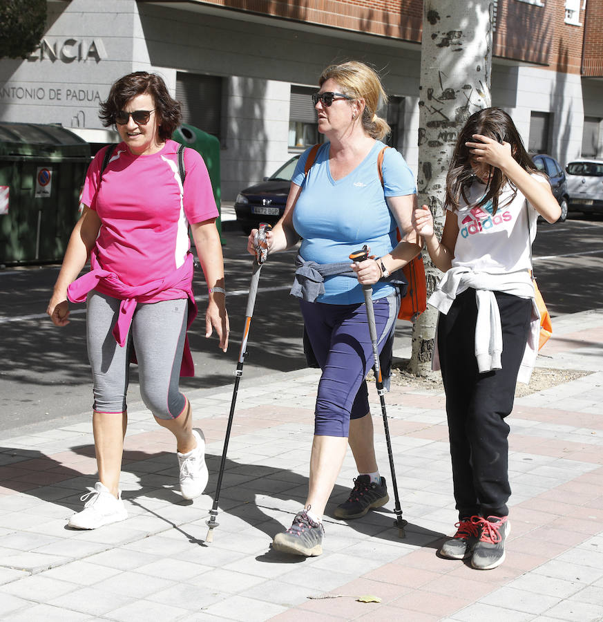 Fotos: Marcha de la Fundación San Cebrián en Palencia