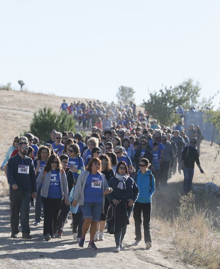 Fotos: IV Caminata popular contra el hambre en Valladolid