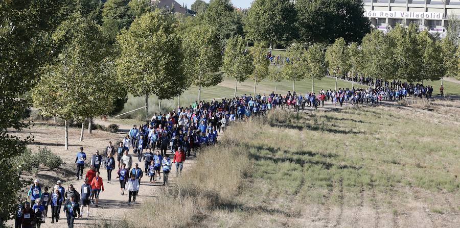 Fotos: IV Caminata popular contra el hambre en Valladolid