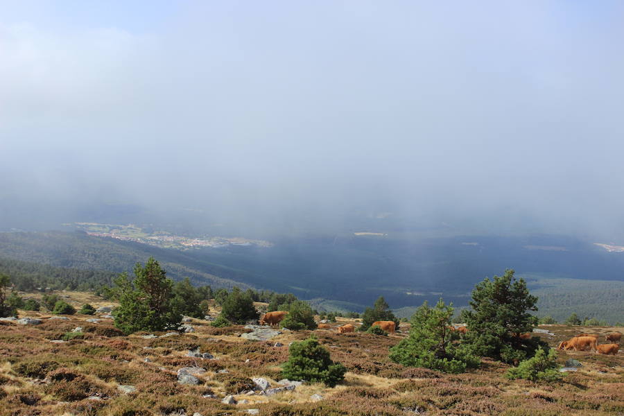 Recopilación de imágenes de los Picos de Urbión, desde el Pico Ubrión a más de 2.000 metros de altitud, en la provincia de Soria.