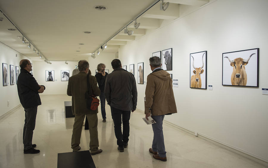 Fotos: El Museo de la Ciencia de Valladolid acoge la exposición fotográfica &#039;Bestiarium&#039;