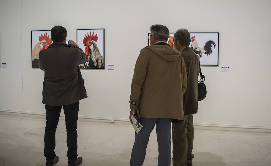 Fotos: El Museo de la Ciencia de Valladolid acoge la exposición fotográfica &#039;Bestiarium&#039;