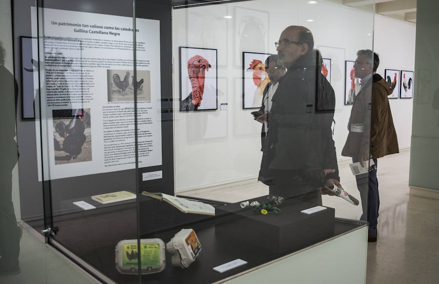 Fotos: El Museo de la Ciencia de Valladolid acoge la exposición fotográfica &#039;Bestiarium&#039;