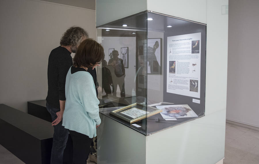 Fotos: El Museo de la Ciencia de Valladolid acoge la exposición fotográfica &#039;Bestiarium&#039;