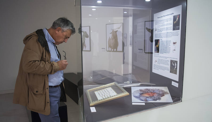 Fotos: El Museo de la Ciencia de Valladolid acoge la exposición fotográfica &#039;Bestiarium&#039;