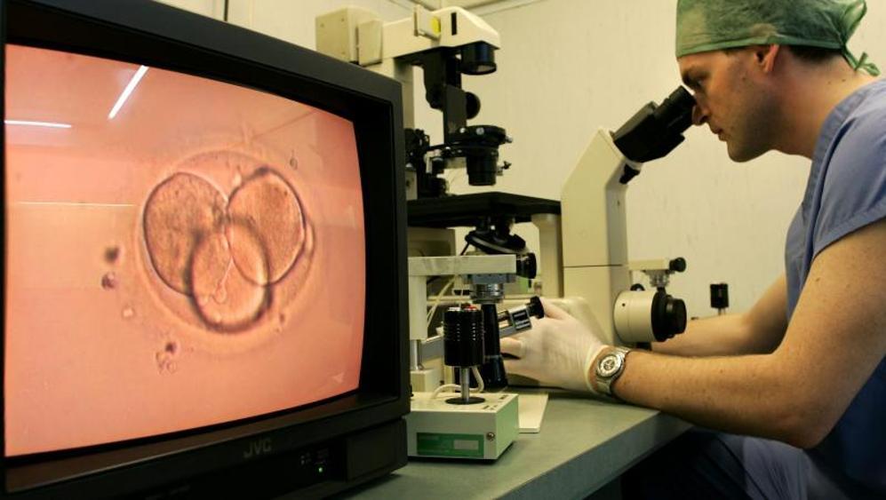 Laboratorio de inseminación artificial. 