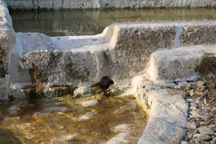 Fotos: Fuentes de Valdepero rehabilita con acierto los pilones