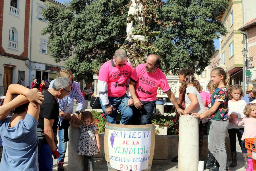 Fotos: Fiesta de la venidimia en Castrillo de Don Juan