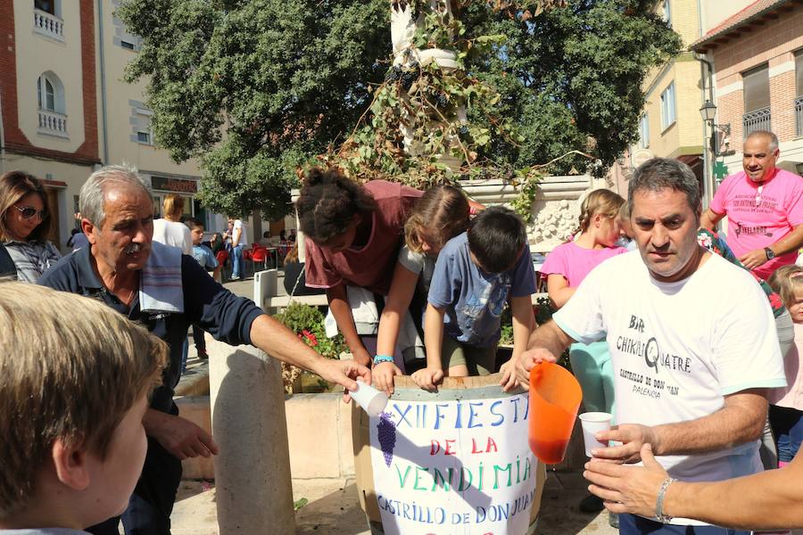 Fotos: Fiesta de la venidimia en Castrillo de Don Juan