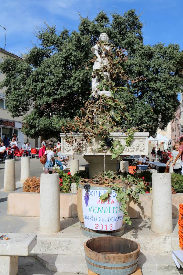 Fotos: Fiesta de la venidimia en Castrillo de Don Juan