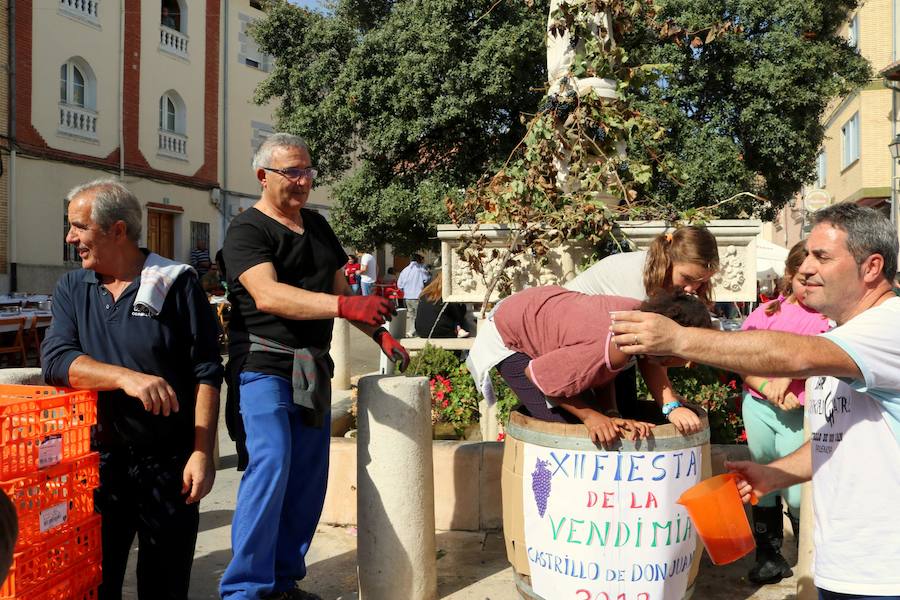 Fotos: Fiesta de la venidimia en Castrillo de Don Juan