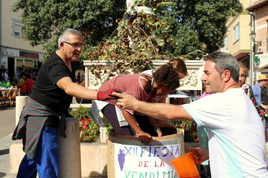Fotos: Fiesta de la venidimia en Castrillo de Don Juan