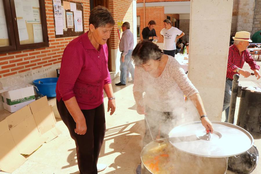Fotos: Fiesta de la venidimia en Castrillo de Don Juan
