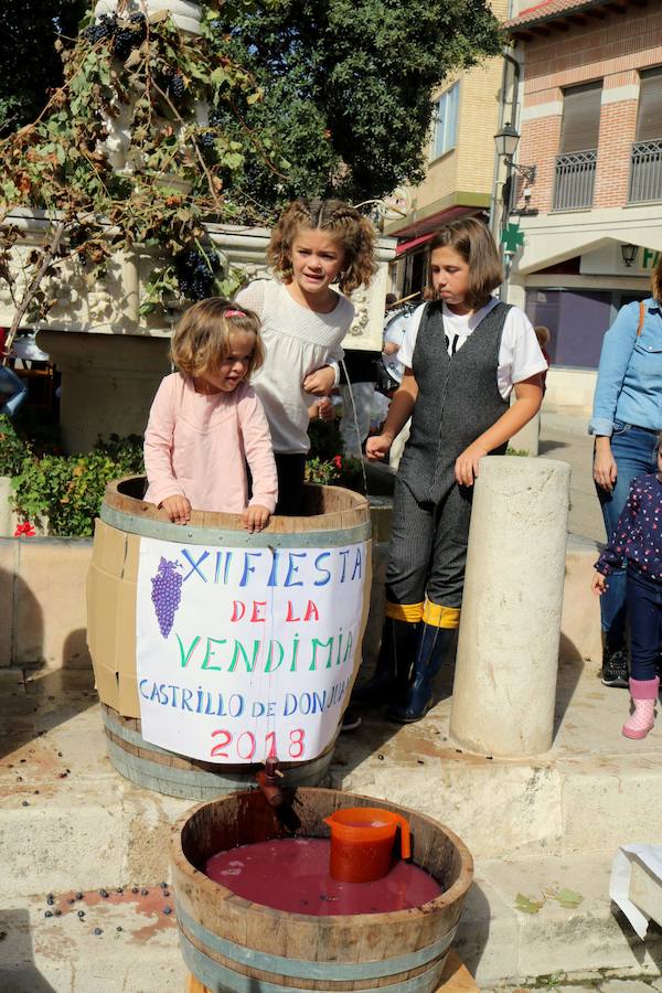 Fotos: Fiesta de la venidimia en Castrillo de Don Juan