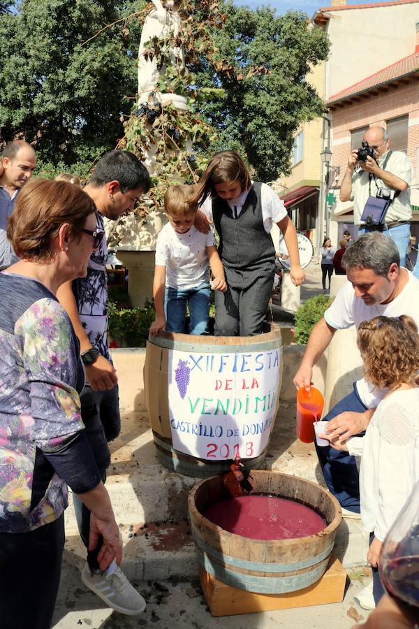 Fotos: Fiesta de la venidimia en Castrillo de Don Juan