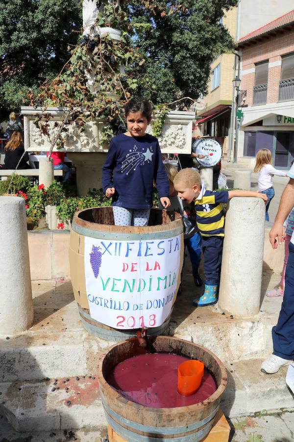 Fotos: Fiesta de la venidimia en Castrillo de Don Juan