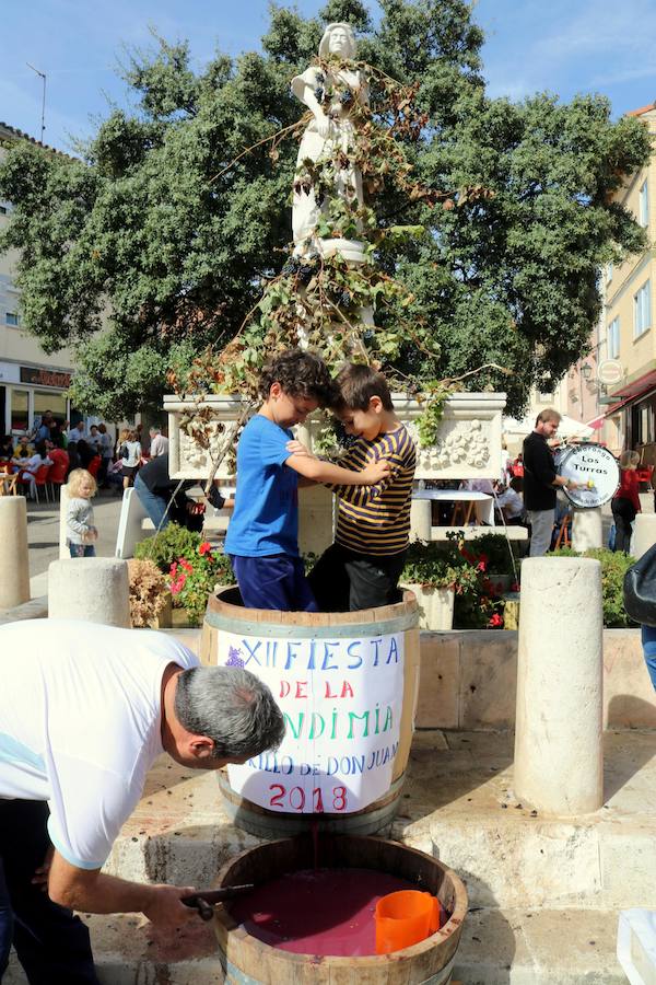 Fotos: Fiesta de la venidimia en Castrillo de Don Juan