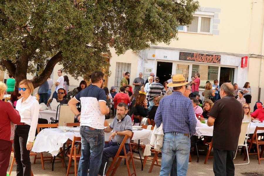 Fotos: Fiesta de la venidimia en Castrillo de Don Juan