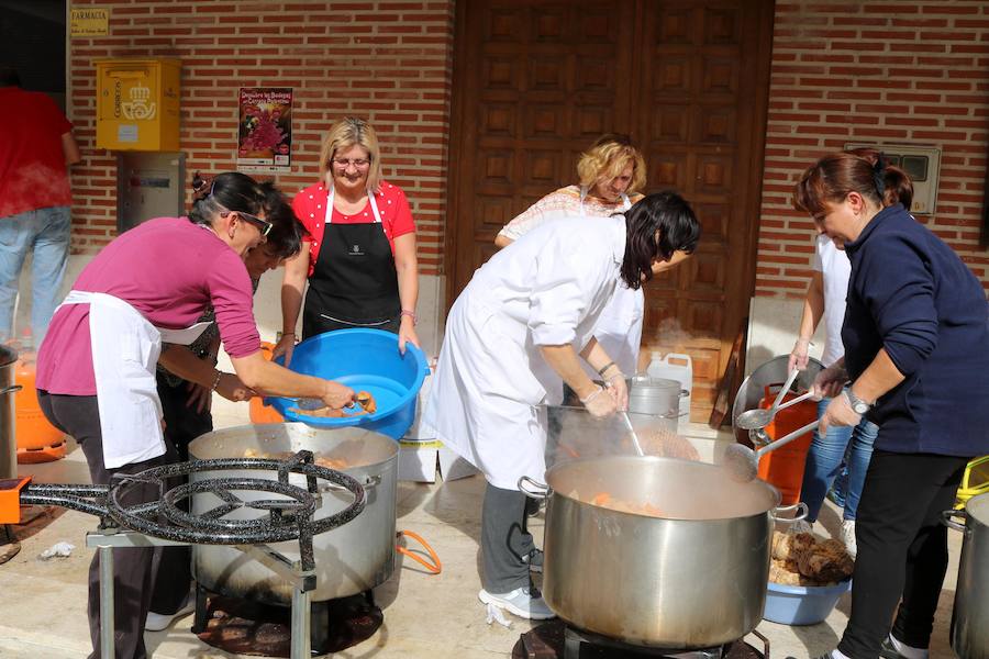 Fotos: Fiesta de la venidimia en Castrillo de Don Juan