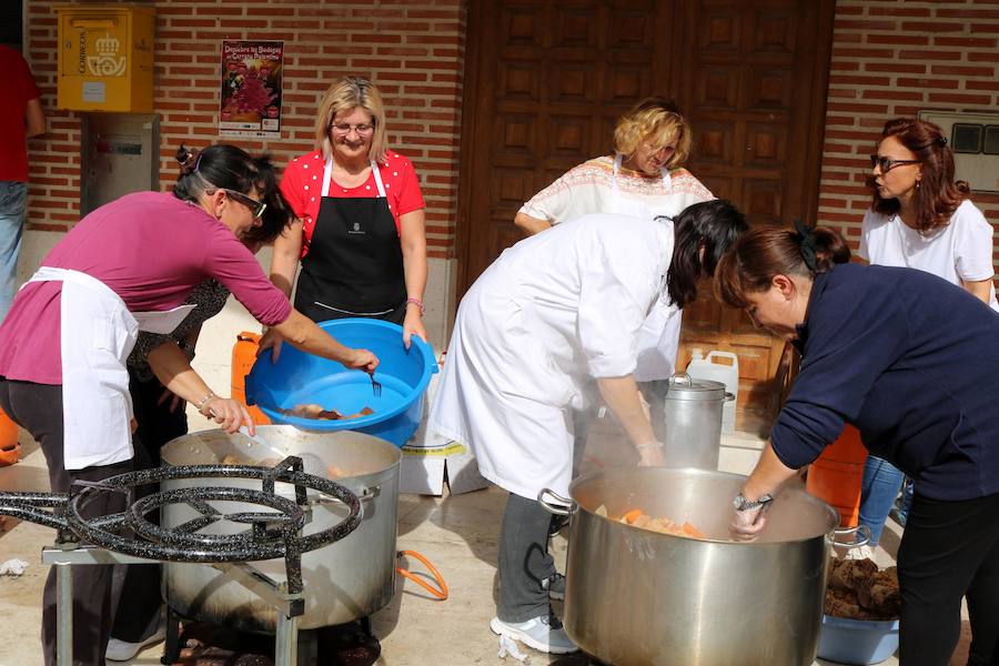 Fotos: Fiesta de la venidimia en Castrillo de Don Juan