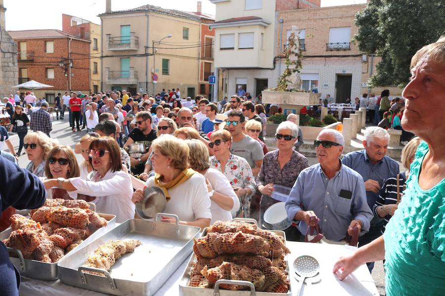 Fotos: Fiesta de la venidimia en Castrillo de Don Juan