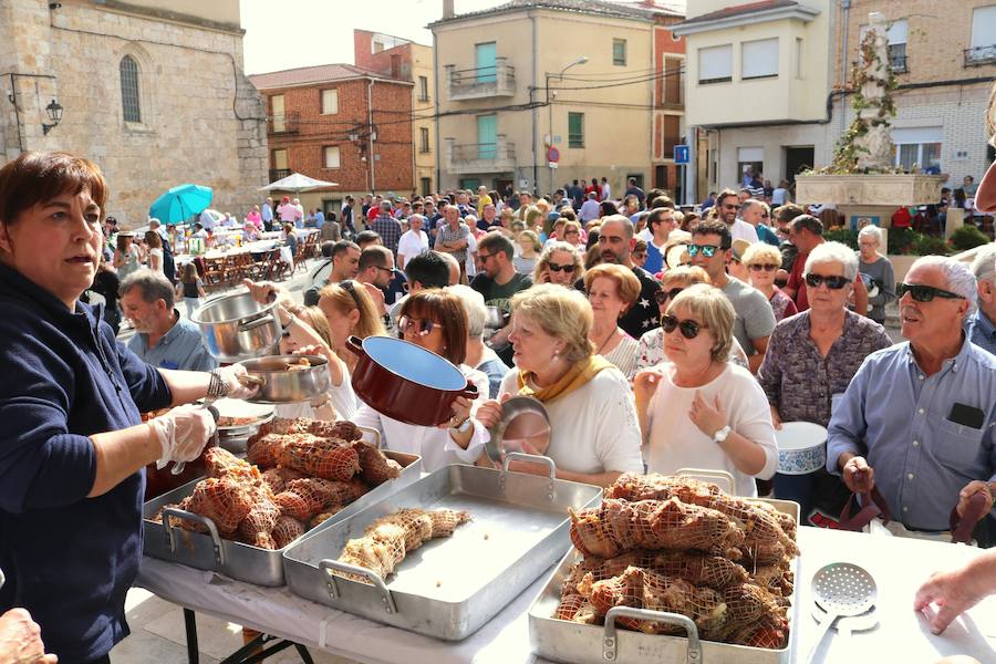 Fotos: Fiesta de la venidimia en Castrillo de Don Juan