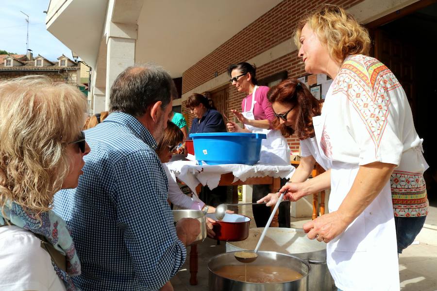 Fotos: Fiesta de la venidimia en Castrillo de Don Juan