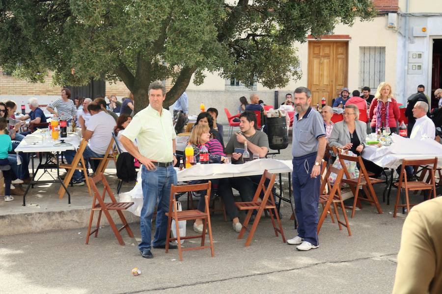Fotos: Fiesta de la venidimia en Castrillo de Don Juan