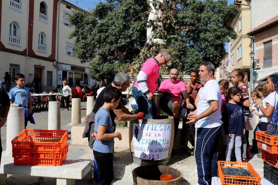 Fotos: Fiesta de la venidimia en Castrillo de Don Juan