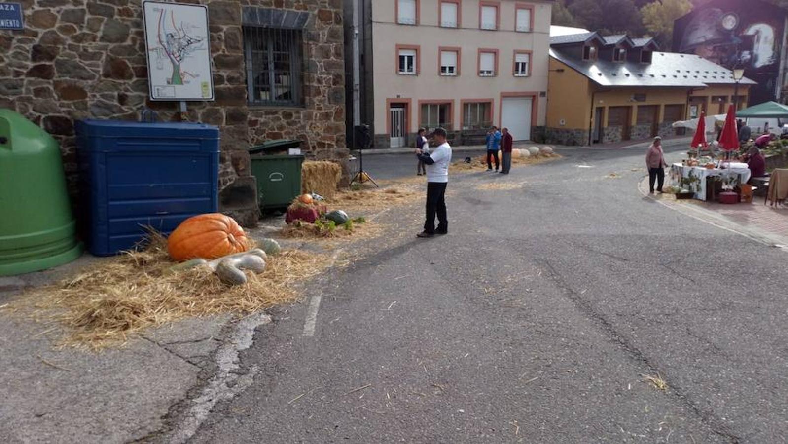 La calabaza de 600 kilos cultivada por el palentino Sergio García logra el primer puesto en el certamen de calabazas gigantes de Igüeña.