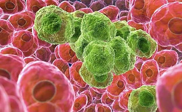 El vínculo entre el tamaño de la familia y el riesgo de cáncer