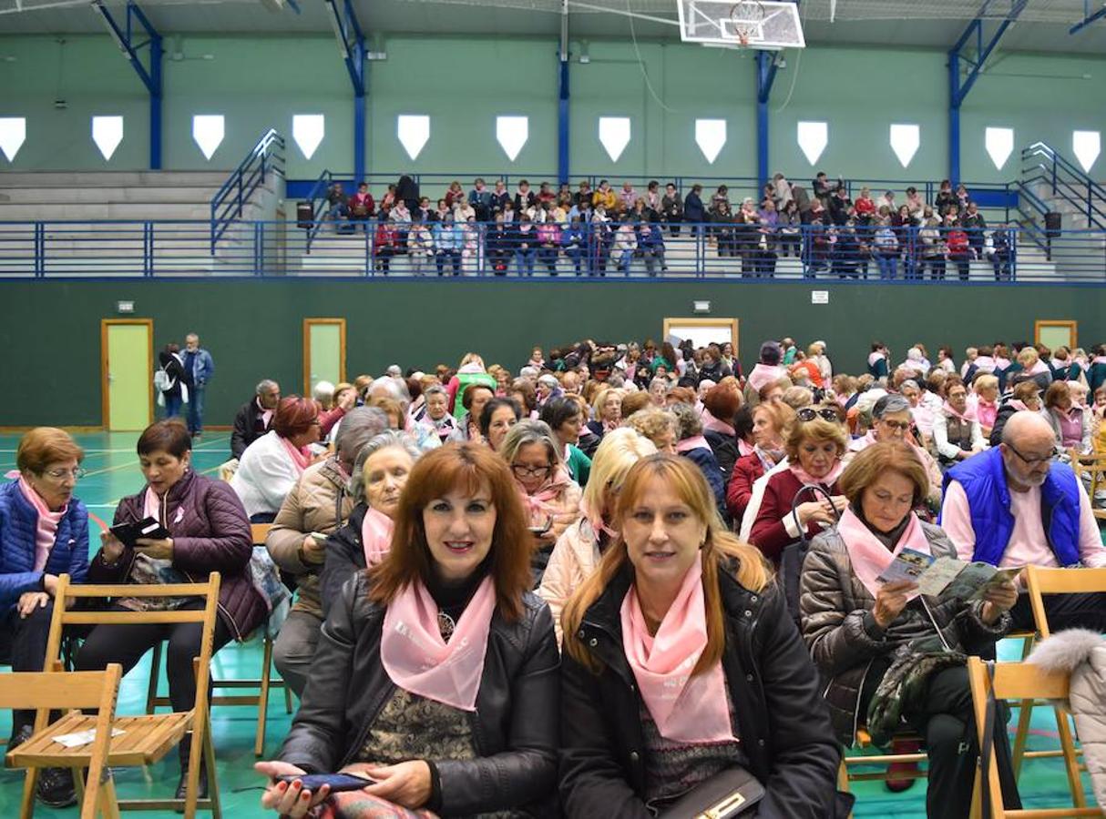 Fotos: Encuentro regional de cáncer de mama en Aguilar de Campoo