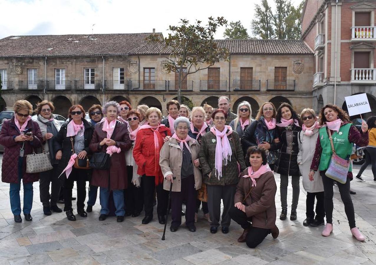 Fotos: Encuentro regional de cáncer de mama en Aguilar de Campoo