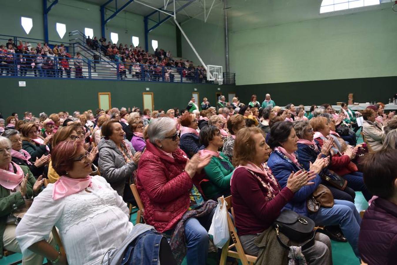 Fotos: Encuentro regional de cáncer de mama en Aguilar de Campoo