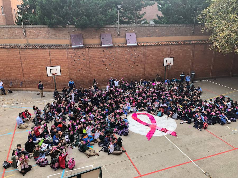 Fotos: El colegio Santa Teresa de Jesús de Valladolid se une a la lucha contra el cáncer de mama