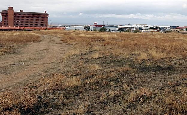 Parte de la parcela, con la antigua choricera al fondo.