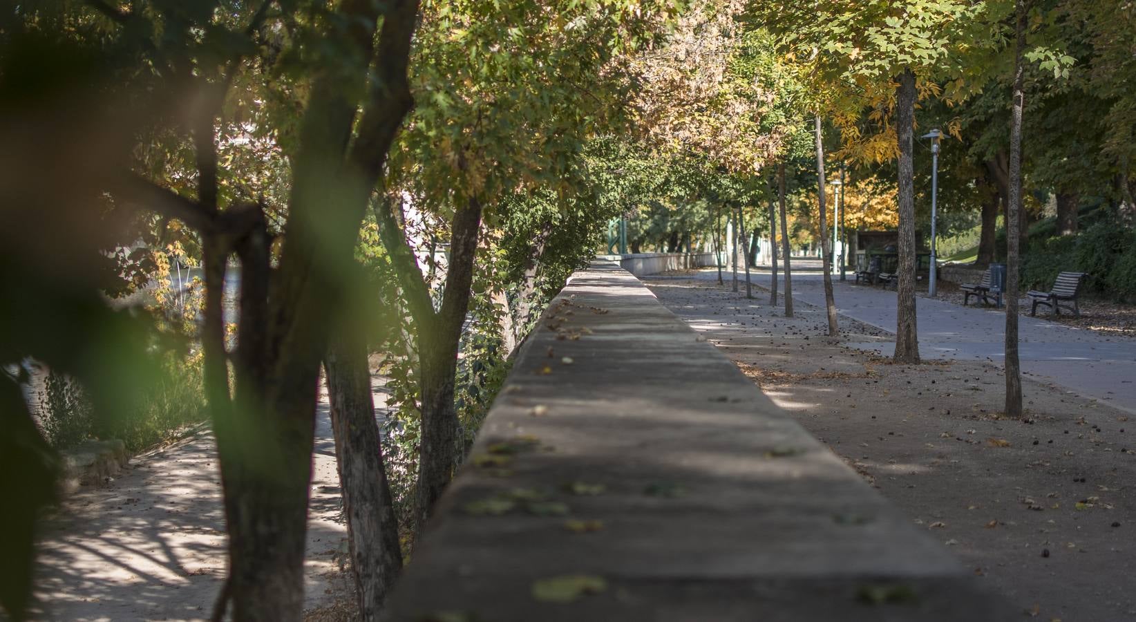 Fotos: Un paseo por el río