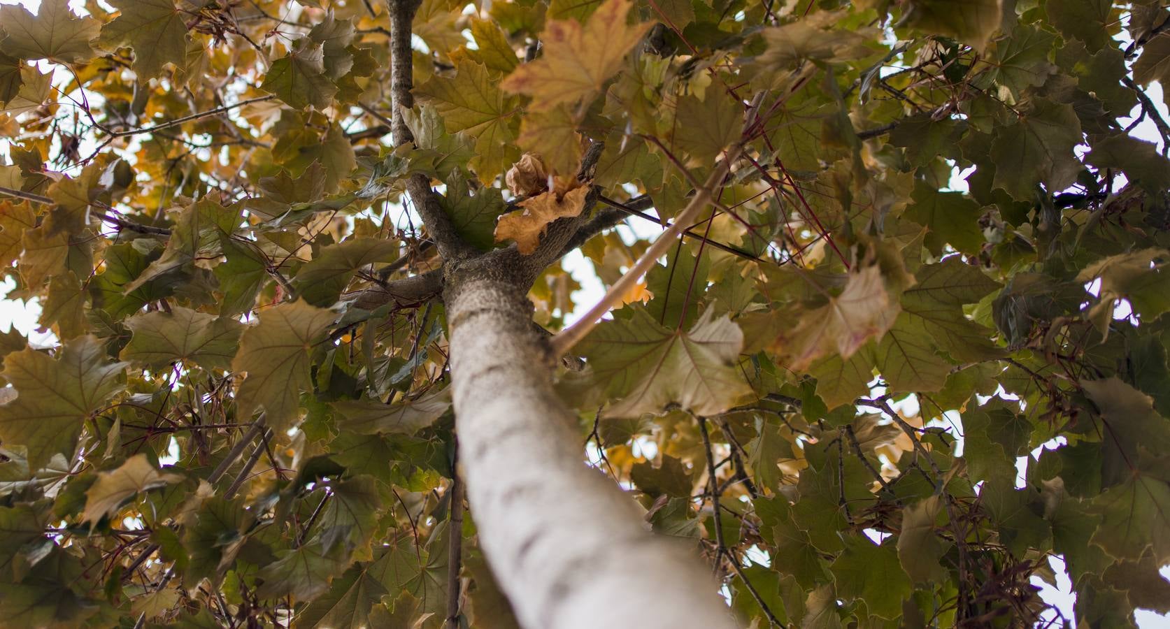 Fotos: Un paseo por el río