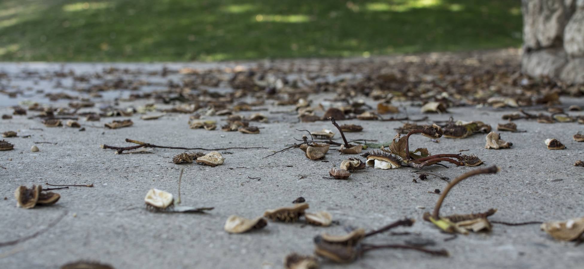 Fotos: Un paseo por el río