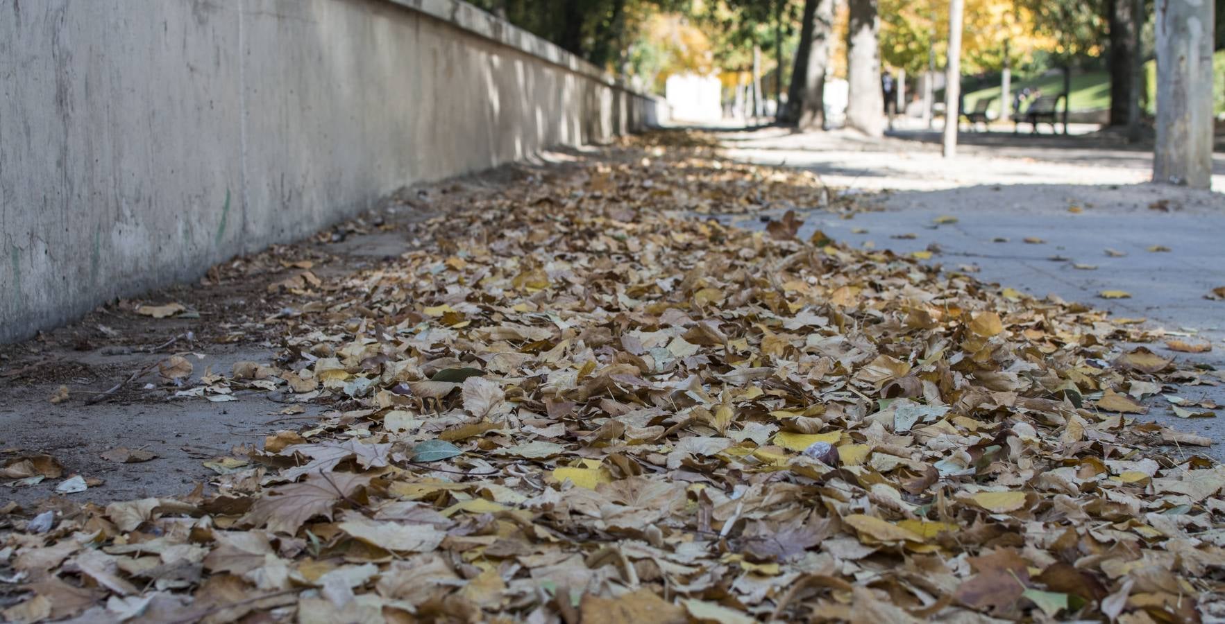 Fotos: Un paseo por el río