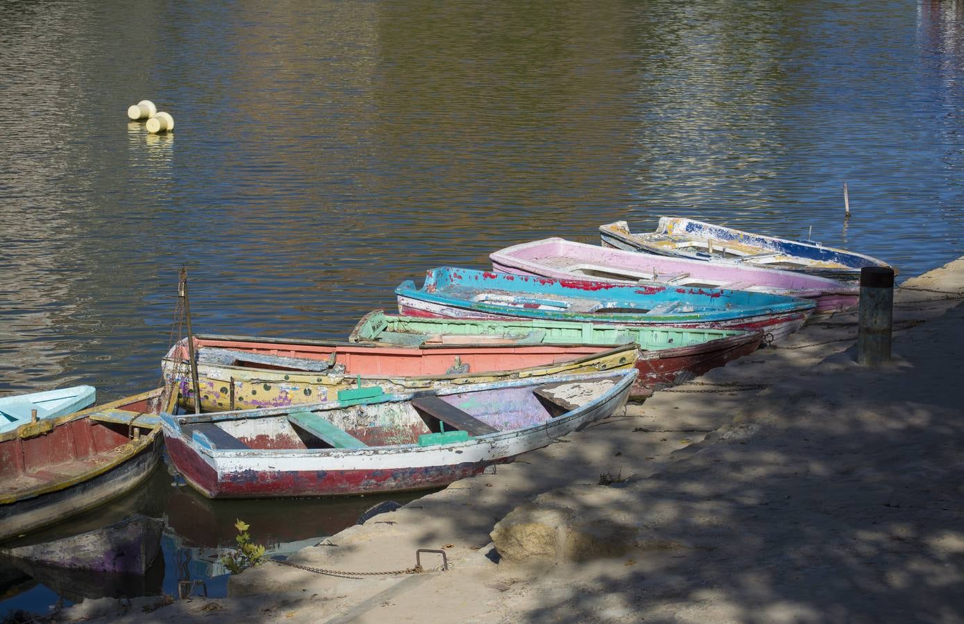 Fotos: Un paseo por el río