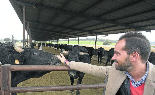 El veterinario Carlos Trujillo se encarga de supervisar las vacas y bueyes. 