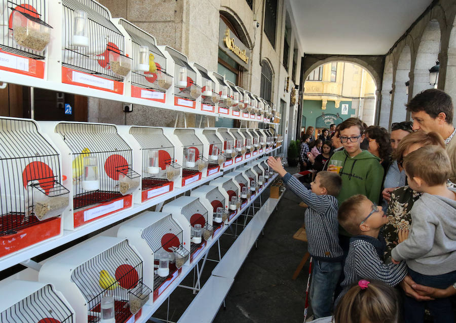 Fotos: Segovia celebra San Frutos (3)