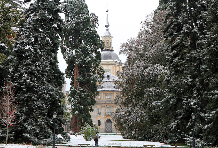 Fotos: Primeras nieves en La Granja