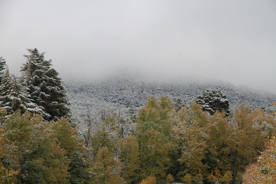 Fotos: Primeras nieves en La Granja