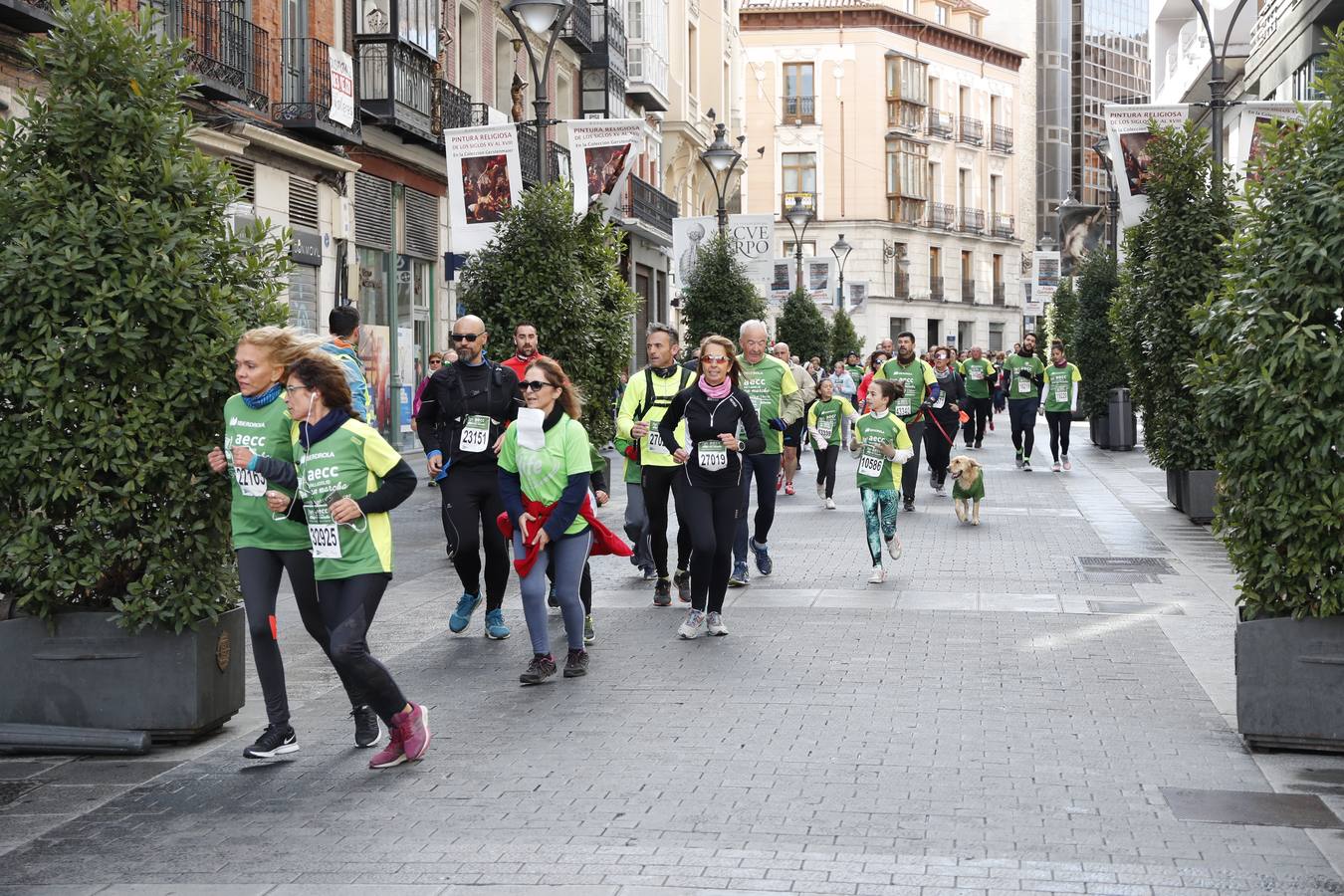 Fotos: VII Marcha contra el Cáncer en Valladolid (2)