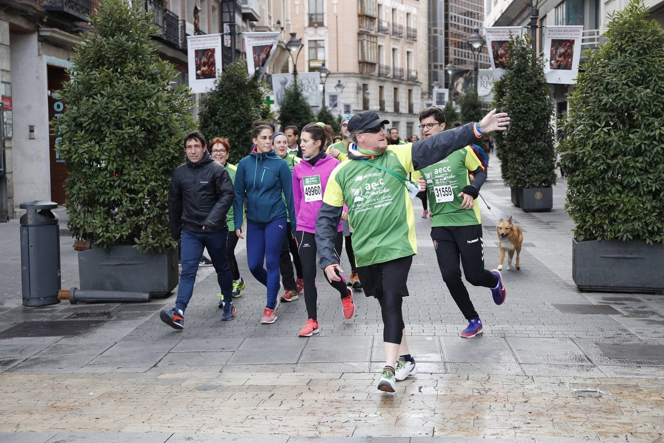 Fotos: VII Marcha contra el Cáncer en Valladolid (2)