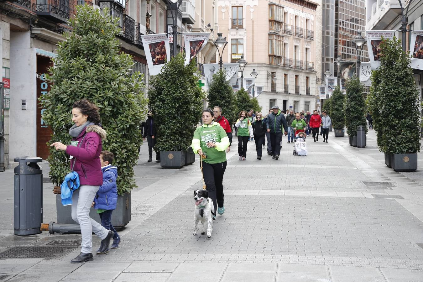 Fotos: VII Marcha contra el Cáncer en Valladolid (2)