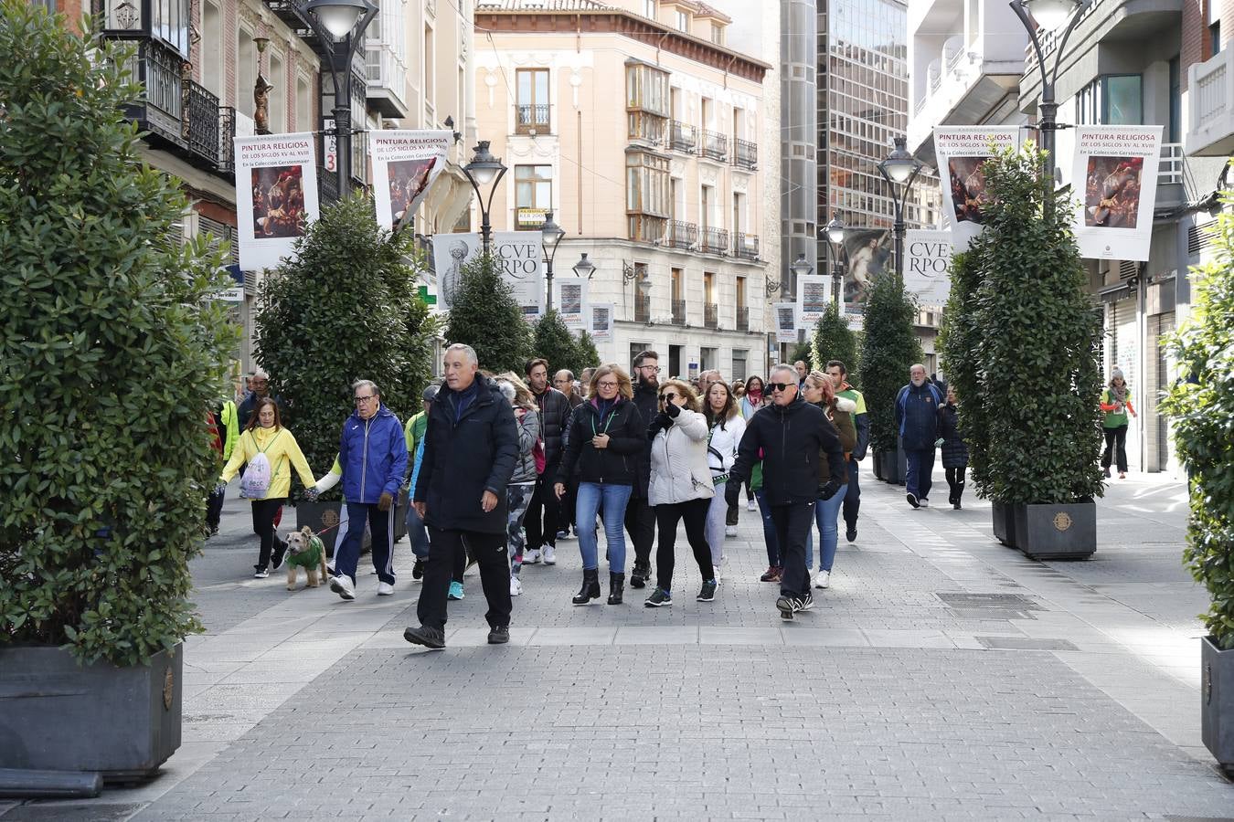 Fotos: VII Marcha contra el Cáncer en Valladolid (2)