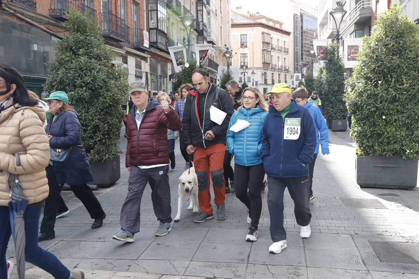 Fotos: VII Marcha contra el Cáncer en Valladolid (2)